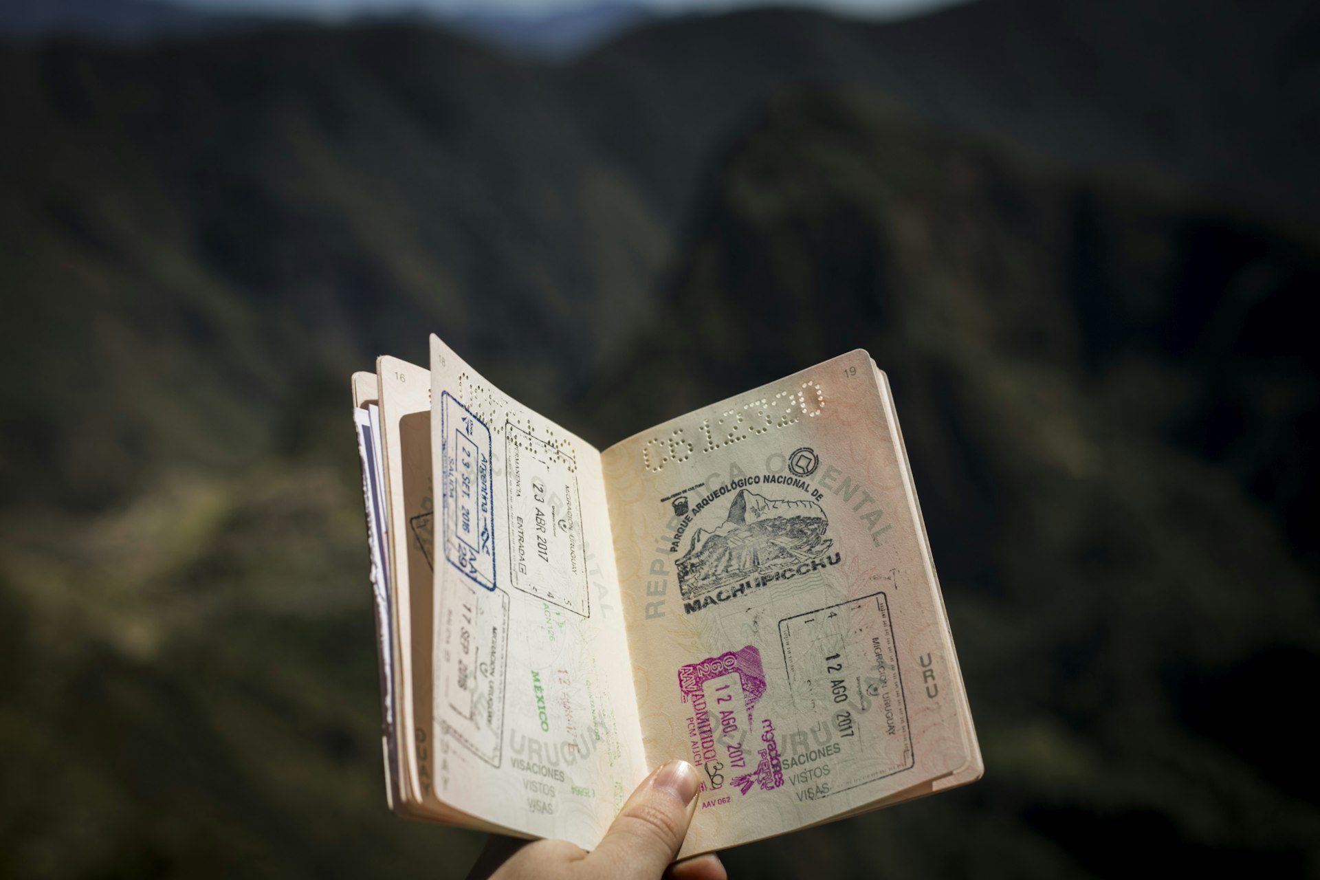 Can I Translate My Own Documents for Immigration or Visas?