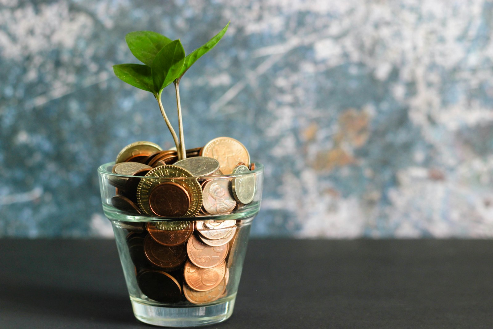 Are Cheap NAATI Translations Worth It? Understanding Value vs. Cost in Document Translation