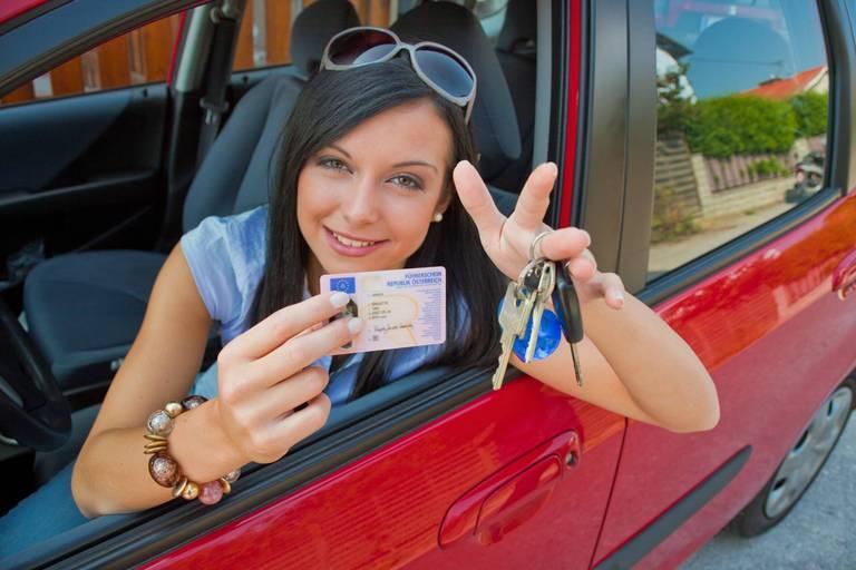 Drivers Licence Translations for NT: The Darwin and Alice Guide