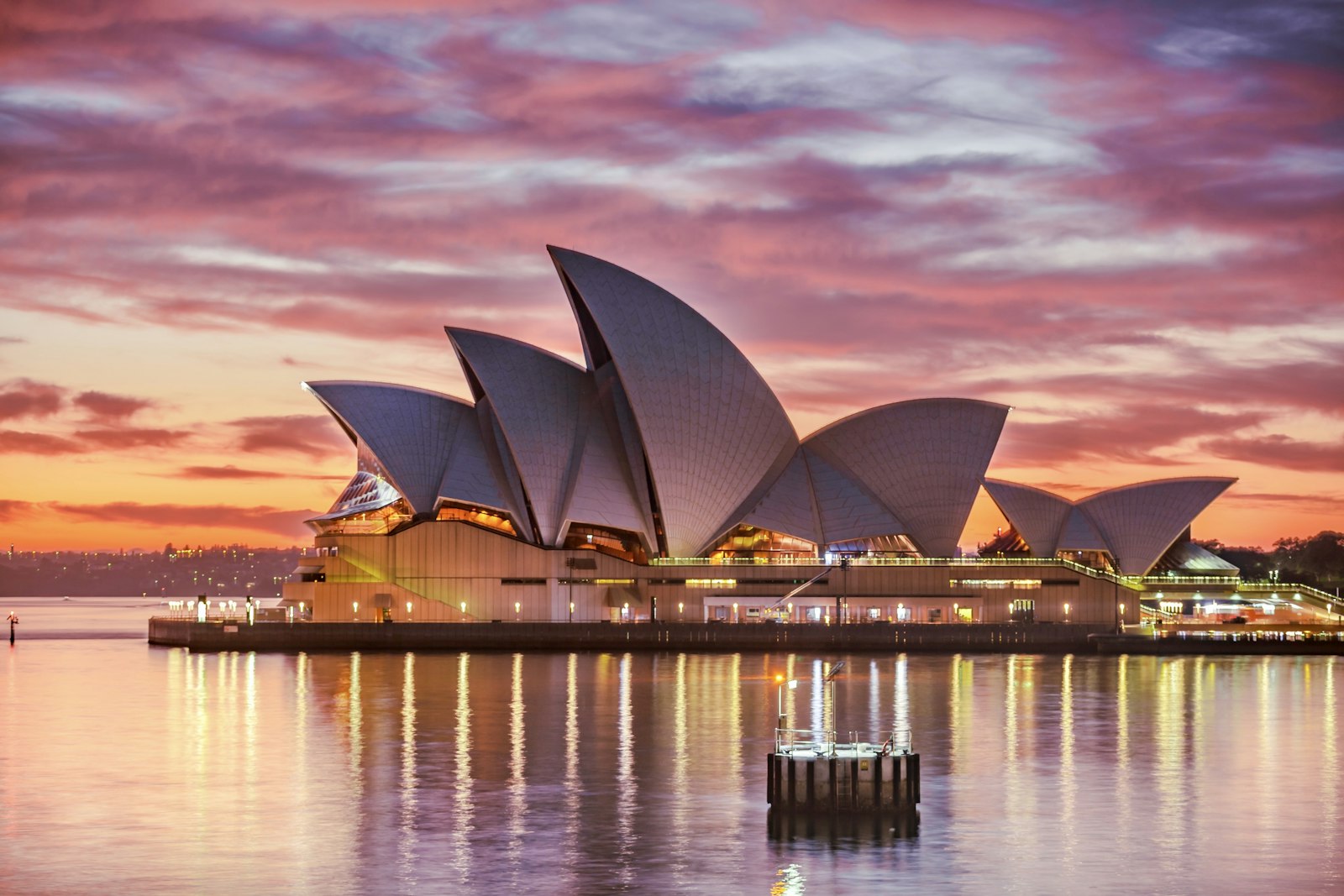 Drivers Licence Translations for QLD: The Complete Brisbane Guide